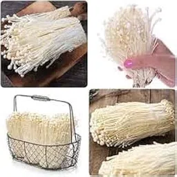 ND PLANT BAZAR enoki mushroom spawn seeds (200 gm) 1 packet (ND 02145)-picture-30