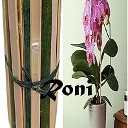generic Suman Bamboo Sticks for Plants Support (Set of 20) 2.2 Feet, 67cm-picture-28