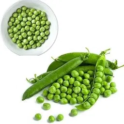 Hybrid Green Peas Seeds | Perfect for Home Gardening, Planting, Farm | Matar Seeds | Winter Vegetable Seeds for Home Gardening (100g)-picture-53