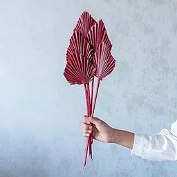 Flowers and Fillers || Red Palm Spear | Natural Dried Flower | Eco-Friendly Flowers for Home, Office, Bedroom, Table Decoration and Craft Items Corner (Without Vase Pot)-picture-36