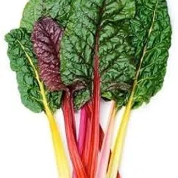 Indica Super Agri Green Swiss Chard Collard Leaves 3 types mixed seeds combo(3 packets x avg 30+ seeds each)-picture-52