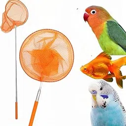 Birds Mini World Telescopic Birds Butterfly Fishing Nets for Catching Birds Insect Net Outdoor Tools for Catching Pack of 1-picture-20