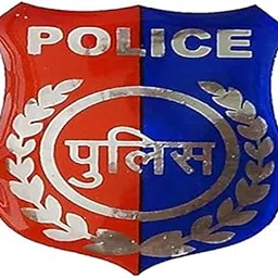 UNIq Police Medal Shape Large Glossy Sticker for Car Bike Laptop-picture-21