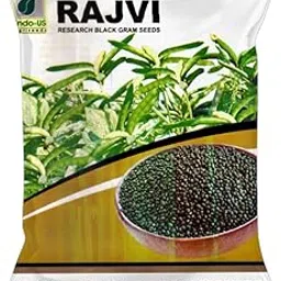 BLACKGRAM SEEDS INDO US RAJVI (1 kg)-picture-31
