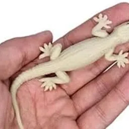 Girlyz Attire Fake Lizard House Gecko Rubber Practical Jokes And Prank Trick Toys (Pack Of 1 Lizrad) - 10 Years And Up, Multicolor-image-52