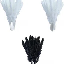 45PCS Dried Pampa Bouquet Boho for Branches Wedding Living Rooms|Home & Garden | Home D?©cor | Floral D?©cor|15 Pieces Artificial Pampas Grass (Black) + 30 Pieces Artificial Pampas Grass (White)-picture-25