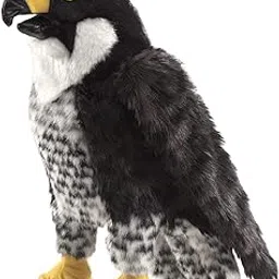 Folkmanis Peregrine Falcon Hand Puppet-picture-26