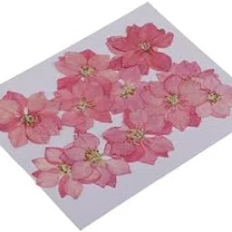 Enakshi® 3x12 Pcs Pressed Flowers Dried Larkspur Real Pressed Dried Flowers DIY Pink|Crafts | Home Arts & Crafts | Floral Crafts | Dried Botanicals & Potpourri | Dried Flowers-picture-30