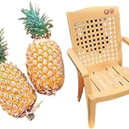 Samruddhi Plastic Comfortable Plastic Arm Chair Set (Pineapple_Set of 1)-picture-30