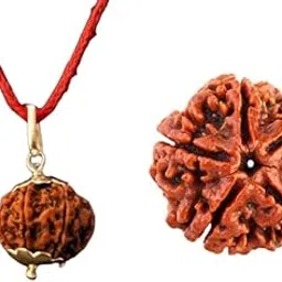 gemstone gallery Genuine Nine Mukhi Rudraksha Original Certified 9 Mukhi Rudraksha Nepali Beads Navmukhi Rudraksha with Pendant 9 Face Rudraksha For Worship Purpose 9 मुखी रुद्राक्ष नेपाली ओरिजनल-picture-43