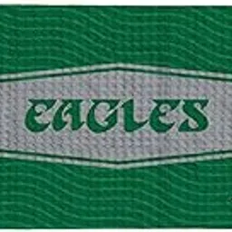 Northwest Philadelphia Eagles NFL Fast Flow Mesh Cooling Towel 12 x 31.5 Inches-picture-32