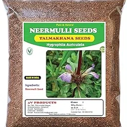 3V PRODUCTS Dried Neermulli Seeds - Pack of 2x100g (Raw) Talmakhana Seed | Kokilaksha | Marsh Barbel | Hygrophila Auriculata Seed (Whole)-picture-45