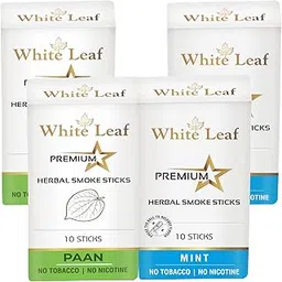 White Leaf Natural Herbal Cigarettes Paan, Mint Flavour (40 Sticks) 100% Tobacco-Free and Nicotine-Free With Ayurvedic Herbs Clove, Tulsi, and More-image-7