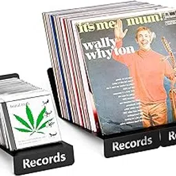 ihomecooker 2 Pack Black Iron Vinyl CD Organizers for LP Display Rack Holds up to 56 Standard DVD Cases for Media Storage and Organization-image-69