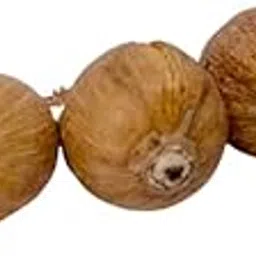 AyodhyaShri™ LAGHU Shriphal - Shriphal for Mahalaxmi Pooja,Original-Sriphal for Diwali Pujan, Other Puja Path/Not a Eatable Product/Used Only for Puja Hawan (5)-picture-22