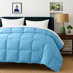 Bhoomi Impex Comforter Double Bed - All Season/AC Summer Blanket | Dohar | Duvets | Ultra Soft & Light Weight - (300 GSM, Light Blue)-picture-28