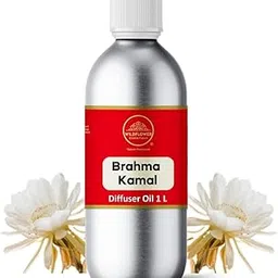 Wildflower Essentials Brahma Kamal Diffuser Oil For Relaxing, Home, Office, Natural Homely Fragrance, Sleep & Pure Aromatherapy- 1L-picture-18