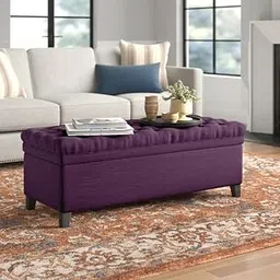 LEGACY OF COMFORT FUUBA Storage Ottoman, Storage Bench 2 Seater Sofa Upholstered Ottoman Bench with Storage, for Living (Purple)-image-95