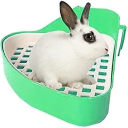 Jumbo Size Litter Tray Cum Potty Training with Scoop for Rabbit/Guinea Pig/Ferret (Random Color)-image-20