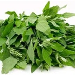 Bathua Seeds Hybrids F1 Vegetable Seeds for Home Garden for Planting for All Season (50 seeds) By Zabbus-picture-20