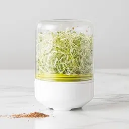 Countertop Sprout Maker jar Sprouter Home Making Fresh Sprouts Beans for Living Healthy Life Sprout Maker, Plastic Sprouts Maker Box Sprout Maker jar-image-64
