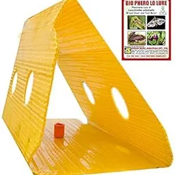 Bio Phero LO Lure Pheromone Lure of Leucinodes Orbonails (Shoot and Fruit Borer) Includes - 5 Lures & 5 Traps-picture-59