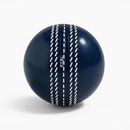 Ciko PVC T-20 Soft Cricket BallsOriginal i20 Wind Ball 100 Over Play Match Balls White Indoor & Outdoor Ground or Pitch and Gully Cricket for Men Women Kids Youth Teenage (Navy Blue -1) image 1