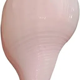 ANI DIVINE Lord Vishnu Shankh Blowing Vamavarthi Shankh | Authentic Left-Handed Blowing Shankh for Home Pooja, Temple-picture-36