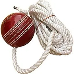 Ranac Red Leather Cricket Shot Practice String Hanging Ball, Red (Pack of 1 Ball)-picture-49