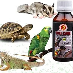 Pet Care International (PCI) Toxi Care || Provide Essential Detoxification || for Healthy Iguana, Gecko and Other Scaly Pets Healthcare (100ml)-picture-31