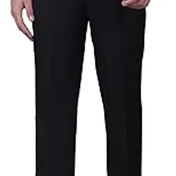 cantabil Men's Self Design Non Pleated Regular Fit Formal Trouser (P_MTRF00248)-picture-18