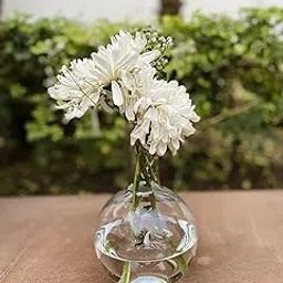 Labzio Home by Eisco - boiling flask glass flower vase, set of 2 (500 ML)-picture-15