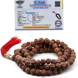 virasit Panch Mukhi Rudraksha Necklace For Men/Boys | Real 5 Mukhi Rudraksha | Prayer Japa Mala Beads | Five Face Original Rudraksha | Shiva Beads-picture-34