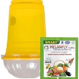 Smart Trap/IPM Trap/Glass Trap/Melon Fly Trap- Useful for Melon cucurbitae Bottle Guard All Vegetable, White;Yellow Pack of 01-image-7