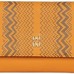 baggit Women Wallet Large Size | Ladies Stylish Purse Bag | Credit Card Money Holder-picture-17