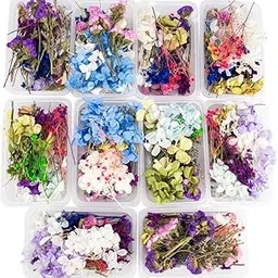 Dried Flowers for Art Craft - Mixed & Multicolor for Soap, Artificial Candles, Scrapbooking, DIY, Resin Jewelry, Pendant - [1 Set of Box] Multicolor-picture-42