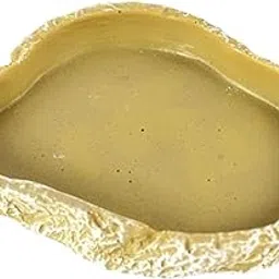 Fashion My Day Amphibian Reptile Food Bowl Water Dish for Bearded Dragon Lizards Snake|Pet Supplies|Reptile Supplies-picture-16