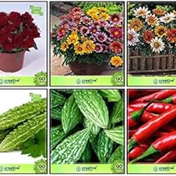 Creative Farmer Gardening Seed Combo Flower Seeds & Vegetable Seeds : Bittergourd, Bittergourd Priyanka - White Large Spindle Fruits , Bottlegourd, Dianthus- Dwarf, Gazania-Sunshine, Gazania-Dwarf Terrace Gardening-picture-26