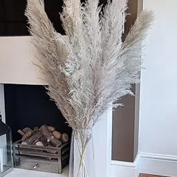 Decorative Ferns Naturally Dried Flower for Vase Filler for Home Indoor Office Decor (Greyish White)-picture-26