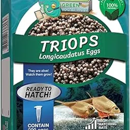 GREEN WATER FARM Triops Longicaudatus Eggs for Hatching and Culture Suitable to be Pet and Science Project (Pure 200 Eggs)-picture-13