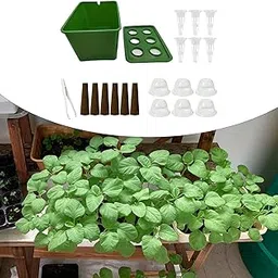 ATORSE Hydroponics Growing System Hydroponics Grower Kit for Hotel Parterre Balcony Green-picture-22