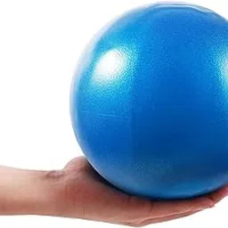 FASTUNBOX (LABEL) Mini Exercise Yoga Gym Ball, Pilates Toning Ball Strength Exercise Fitness Ball (25 C.M., Blue Color)-image-69