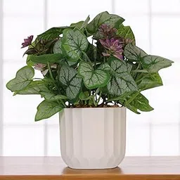 SKYGREEN Artificial Plants with Pot | Small Plants with Pot | Fake Plastic Plants with Pot | Artificial Plant for Home Decor & Office Decor | Indoor Plants | Artificial Plants for Decoration | (BN-3)-picture-28