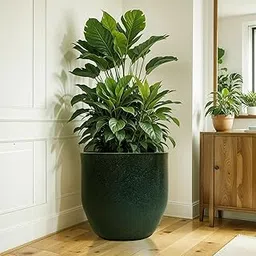 TrustBasket Plant Sphere Pot | 15 Inch Unbreakable Polymers Pot | UV Protected Flower Pot for Living Room, Balcony, Garden | Lightweight Planter for Home Décor | Decorative Pots for Plants Big Size-picture-67