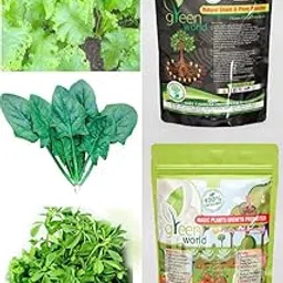 Green World Combo of [SPINACH + SAAG + METHI (FENUGREEK)] Seeds With Organic Nutrients Manure-picture-13