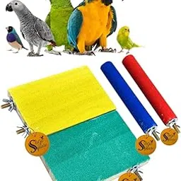 Sage Square Natural Wood Sand Platform & Perch Toys, cage Accessory Ideal for Birds, Hamsters (Pack of 4) (Random Color)-image-47