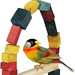 Emily Pets Bird Swing Toys, Chew Toys with Hanging Cage Toys for Small Parakeets, Cockatiels, Conures, Finches, Budgie, Macaws, Parrots, Love Birds (Multicolor, W 19.5 x H 27 CM)-image-17
