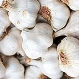 garlic bulbs for planting, lasun bulbs for gardening (PACK OF 2)-picture-46