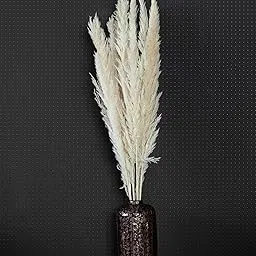 Flowers and Fillers | White Foxtail Pampas Grass (Pack of 10 Sticks)| Pampas Grass| Eco-Friendly Flowers for Home, Office, Bedroom, Table Decoration and Craft Items Corner (Without Vase)-image-9