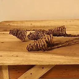 Vanchai Natural Dried Pine Cones 4 Pieces Pinecone On Sticks / stem - 6 Inch Pinecones with 12" Stick for Home, Party, Office, Table , Vase Fillers (Tail Cone - Pack of 5)-image-87